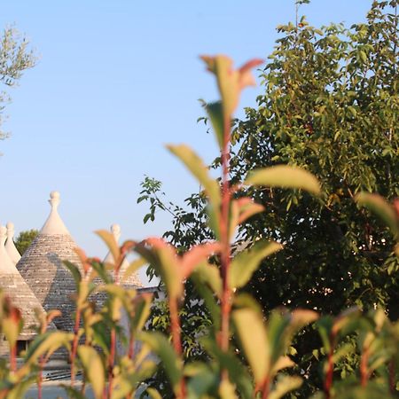 Pietra D'Angolo Locorotondo Eksteriør bilde